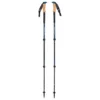 Black Diamond - Alpine C Cork WR Trek Poles - Bâtons De Randonnée