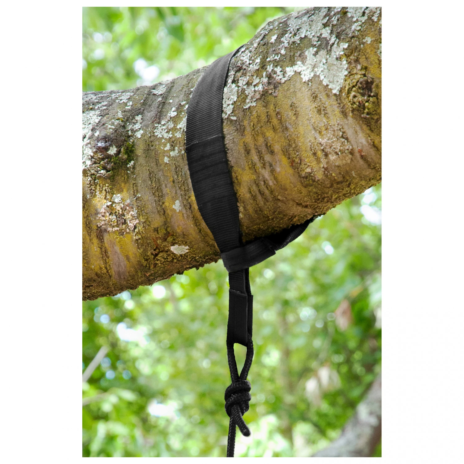 La Siesta - TreeMount Hängestühle - Hamac 4 La Siesta - TreeMount Hängestühle - Hamac – Image 4