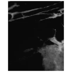 LEUS - Yoga ECO Towel - Serviette Microfibre -Outdoor Énergie leus yoga eco towel serviette microfibre detail 5